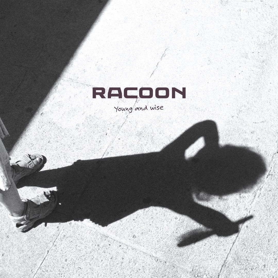 Young and Wise - Racoon | Album | AllMusic