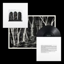 Album cover for Crooked Wing by These New Puritans