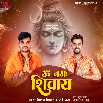 Om Namah Shivay