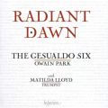 Radiant Dawn