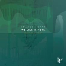 We Like It Here [Remixed, Remastered & Reimagined]