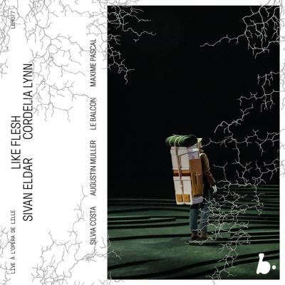 Sivan Eldar: Like Flesh