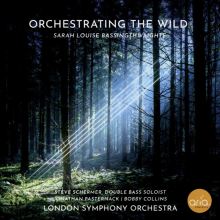 Orchestrating the Wild: Sarah Louise Bassingthwaighte
