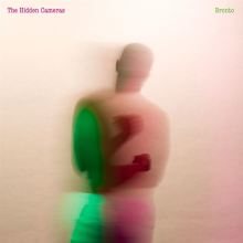 Album cover for Bronto by The Hidden Cameras
