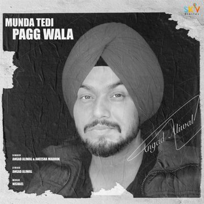 Munda Tedi Pagg Wala