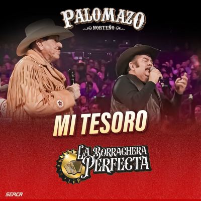 Mi Tesoro [En Vivo]