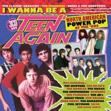 I Wanna Be a Teen Again: American Power Pop, 1980-1989