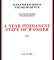 Near Permanent State of Wonder