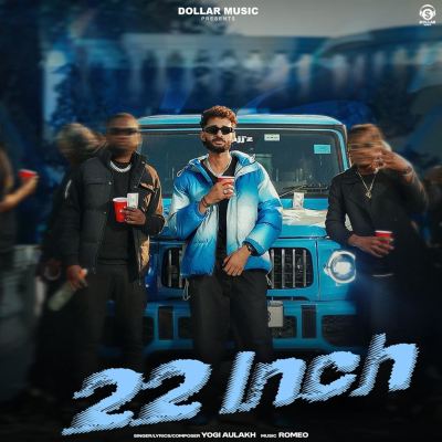 22 Inch