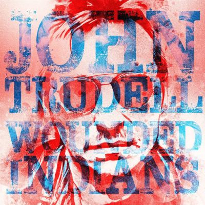 Wounded Indians