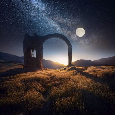 The Night