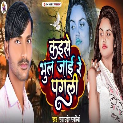 Kaise Bhula Jai Re Pagli