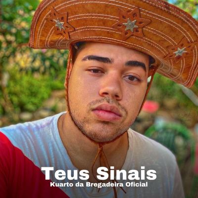 Teus Sinais [Remix]