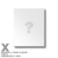The X