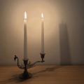Diary of a Candle
