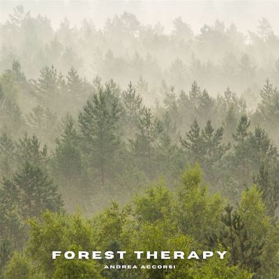 Forest Therapy