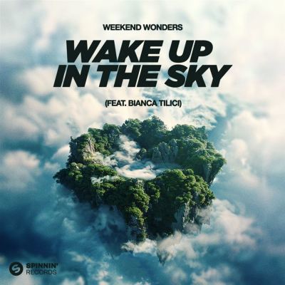 Wake Up in the Sky
