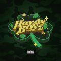 Hardy Boyz