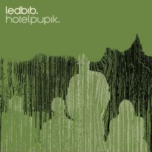Album cover for Hotel Pupik by Led Bib