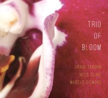 Trio of Bloom