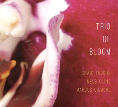 Trio of Bloom