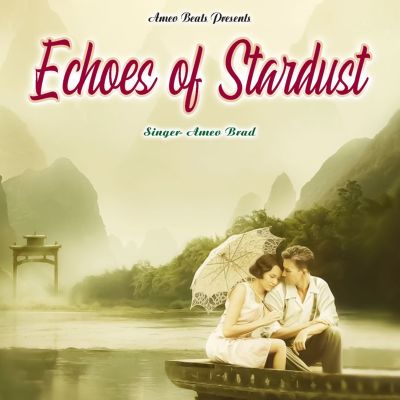 Echoes of Stardust