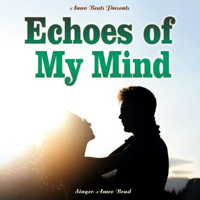 Echoes of My Mind