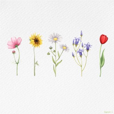 wildflower