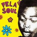 Vs Delasoul