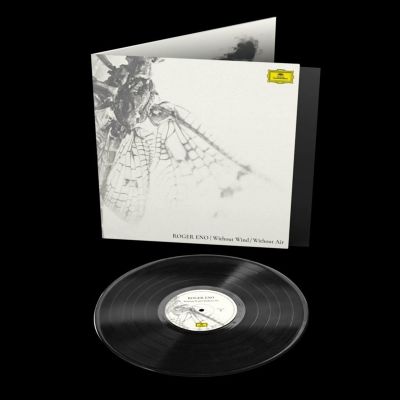 Without Wind, Without Air