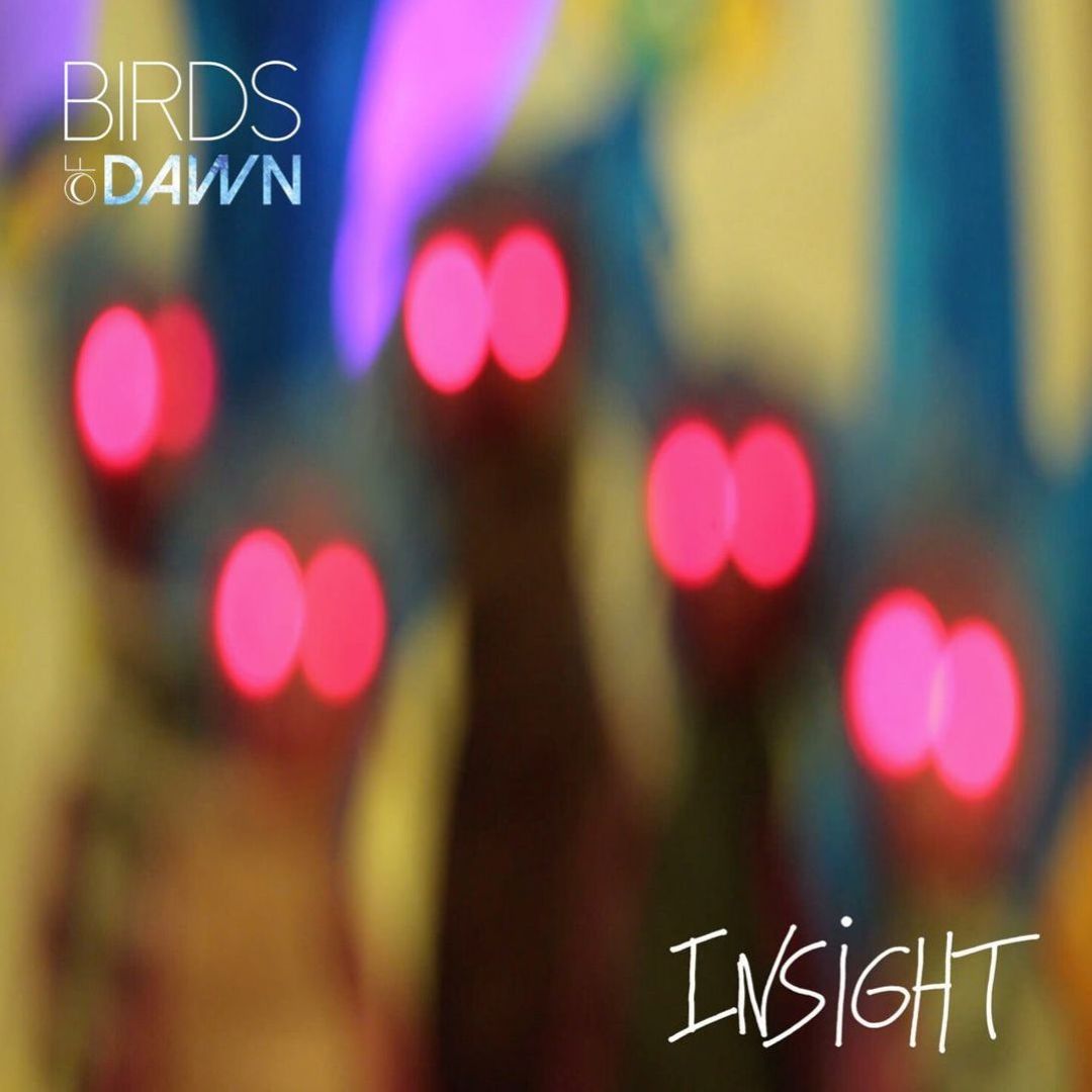 Insight - Birds Of Dawn | Album | AllMusic