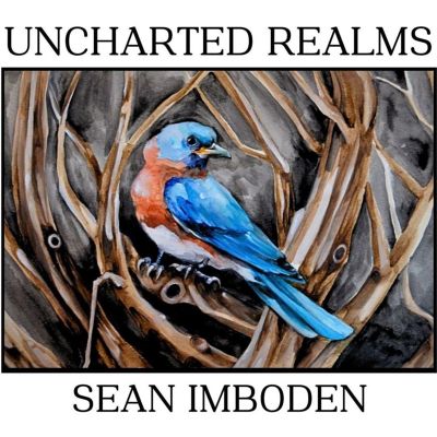 Uncharted Realms - Sean Imboden | Release Info | AllMusic