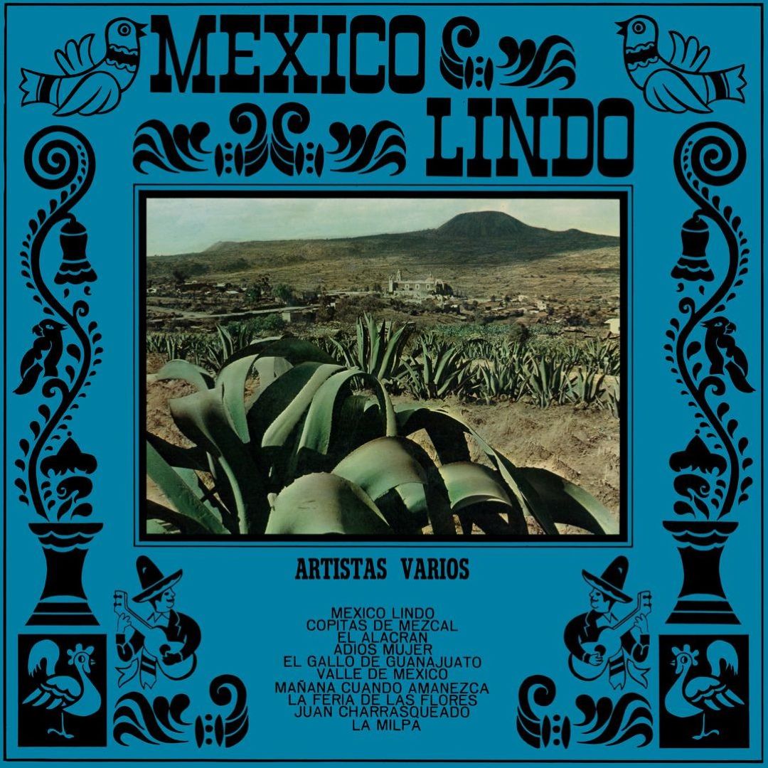 Why Are Various Artists Collections Trending In 2026 