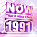 Now That's What I Call 1991